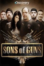 Watch Sons of Guns Megavideo